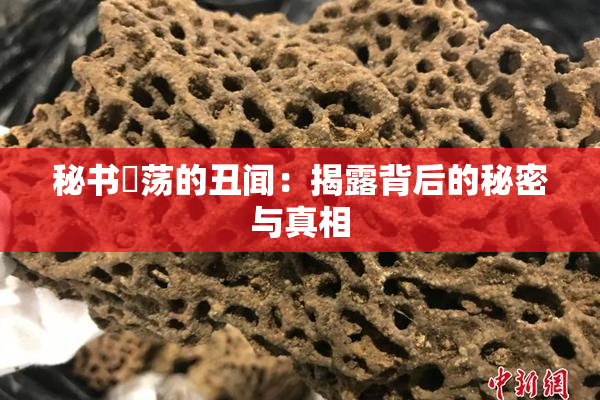 秘书婬荡的丑闻：揭露背后的秘密与真相