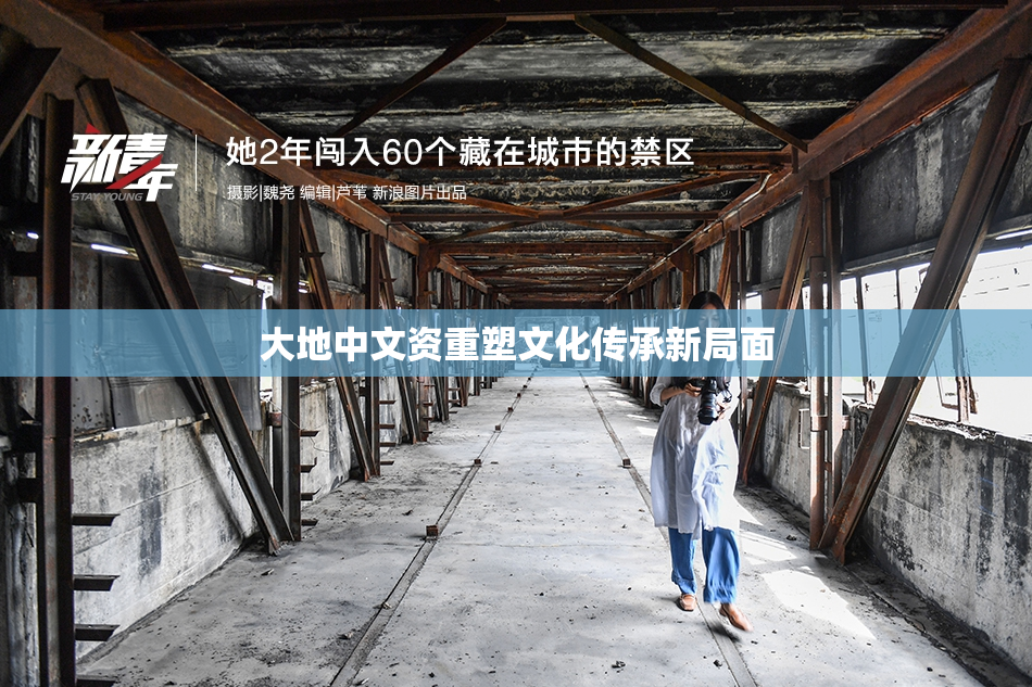 大地中文资重塑文化传承新局面