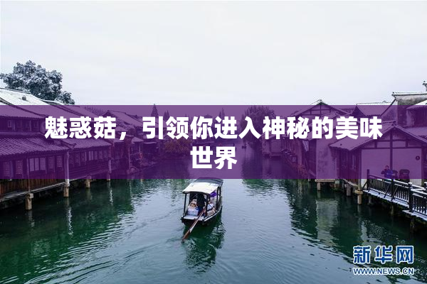 魅惑菇，引领你进入神秘的美味世界