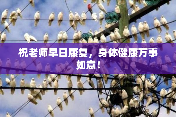 祝老师早日康复，身体健康万事如意！