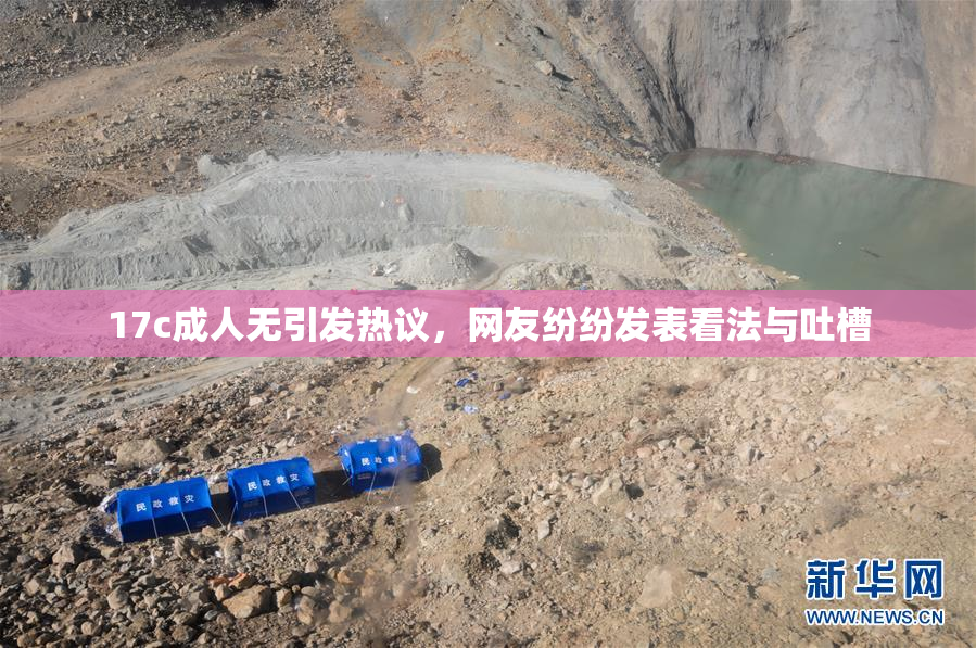 17c成人无引发热议，网友纷纷发表看法与吐槽