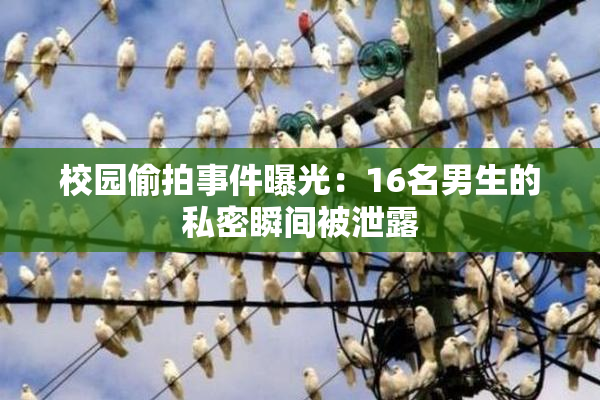 校园偷拍事件曝光：16名男生的私密瞬间被泄露