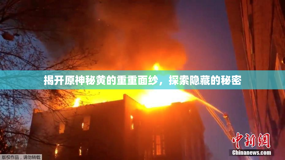 揭开原神秘黄的重重面纱，探索隐藏的秘密
