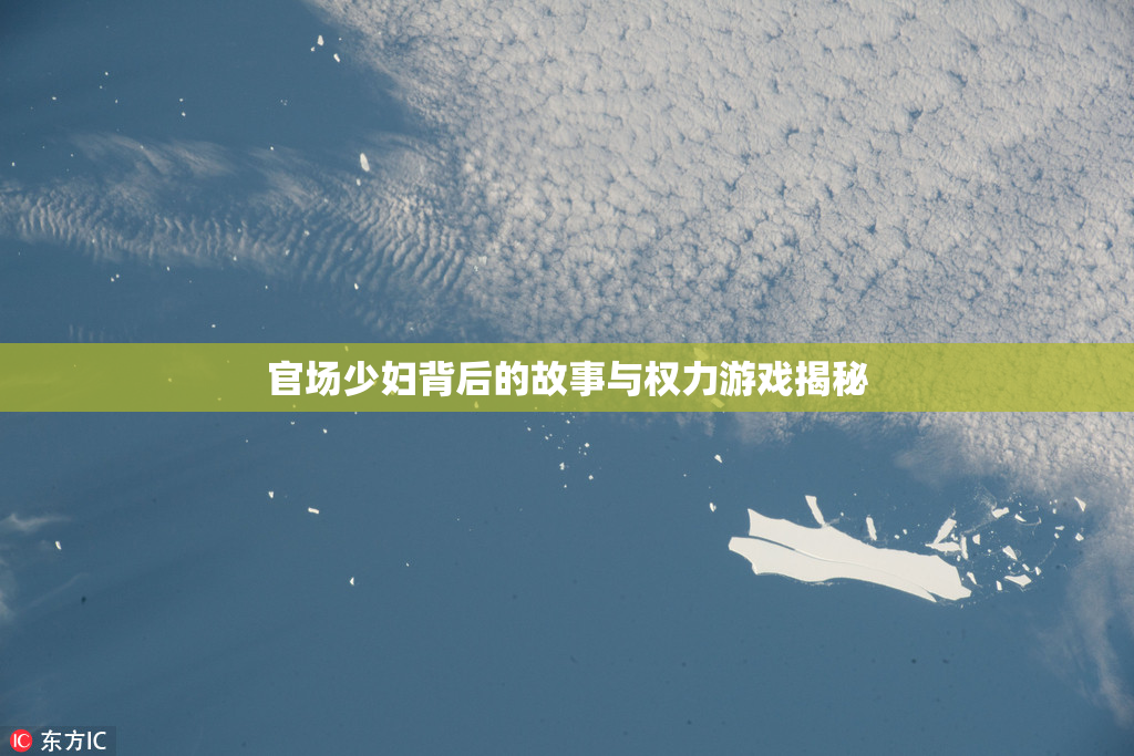 官场少妇背后的故事与权力游戏揭秘
