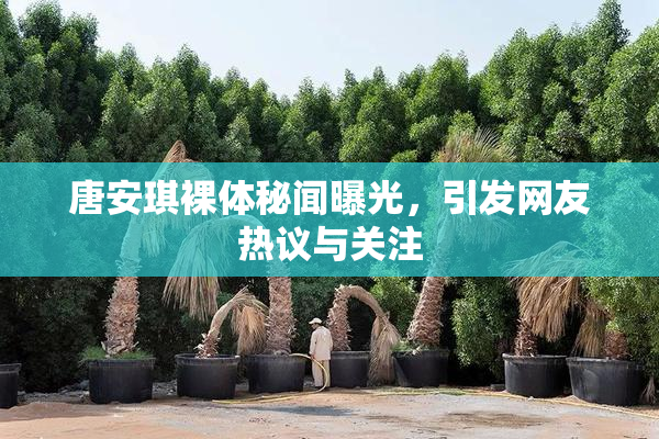 唐安琪裸体秘闻曝光，引发网友热议与关注