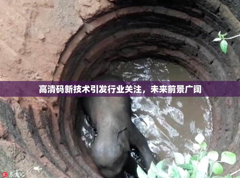 高清码新技术引发行业关注，未来前景广阔