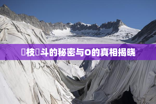 狛枝凪斗的秘密与O的真相揭晓