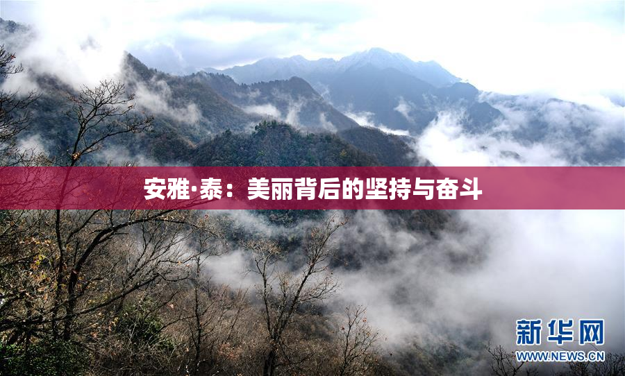 安雅·泰：美丽背后的坚持与奋斗