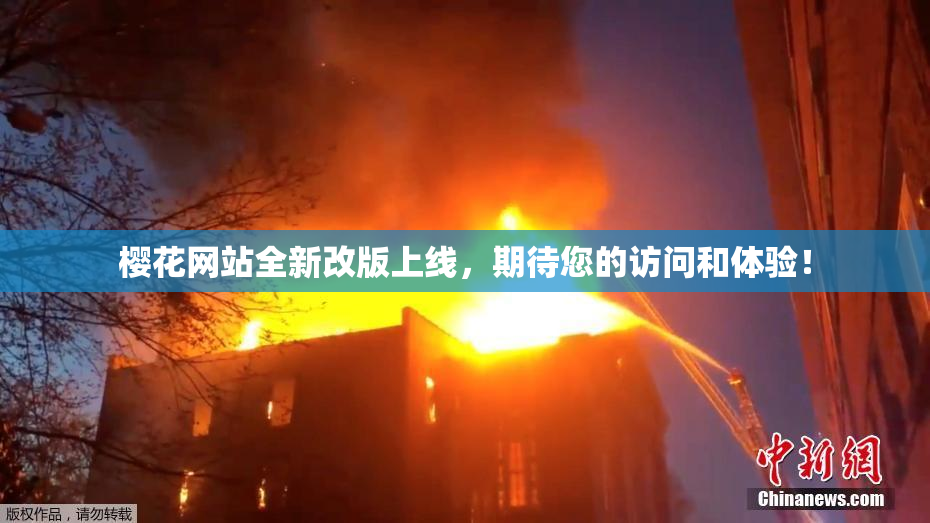 樱花网站全新改版上线，期待您的访问和体验！