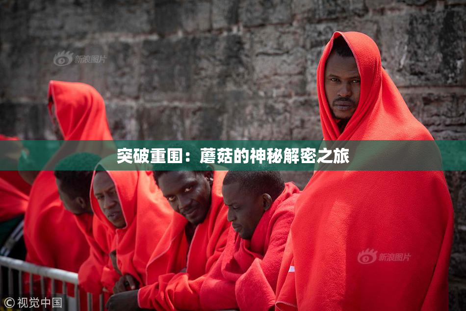 突破重围：蘑菇的神秘解密之旅