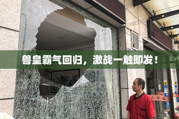 兽皇霸气回归，激战一触即发！