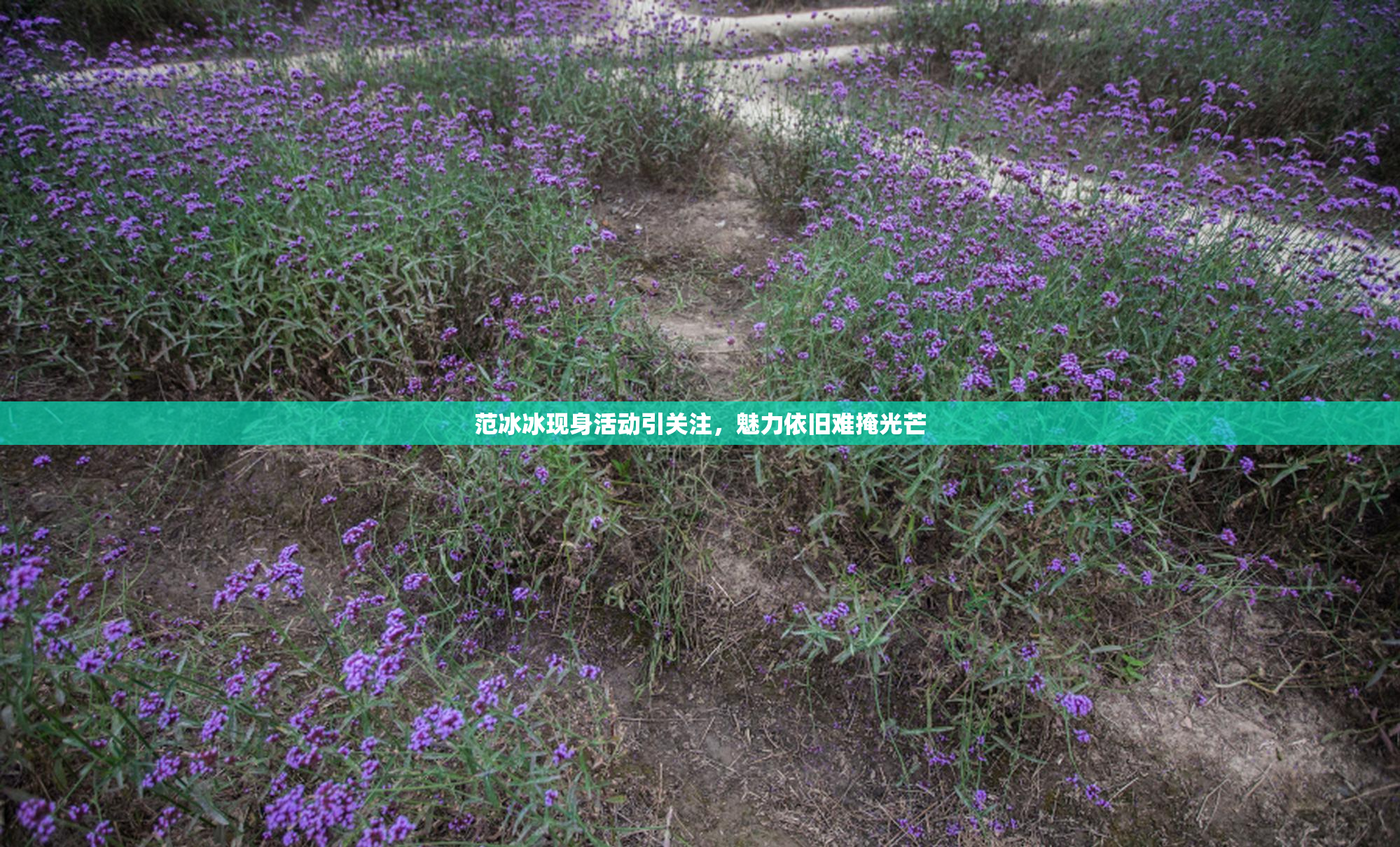 范冰冰现身活动引关注，魅力依旧难掩光芒