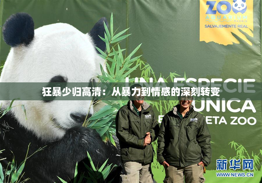 狂暴少归高清：从暴力到情感的深刻转变