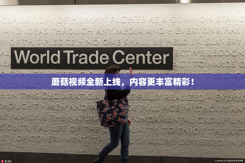 蘑菇视频全新上线，内容更丰富精彩！