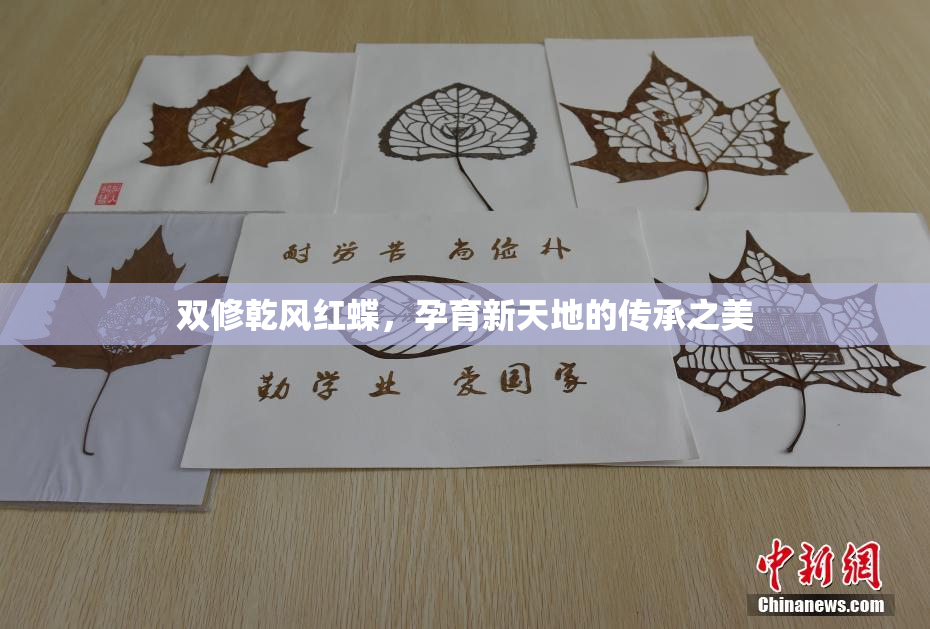双修乾风红蝶，孕育新天地的传承之美