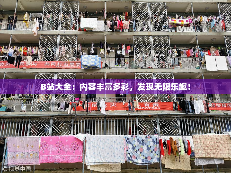 B站大全：内容丰富多彩，发现无限乐趣！