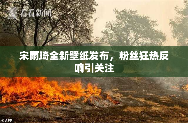 宋雨琦全新壁纸发布，粉丝狂热反响引关注
