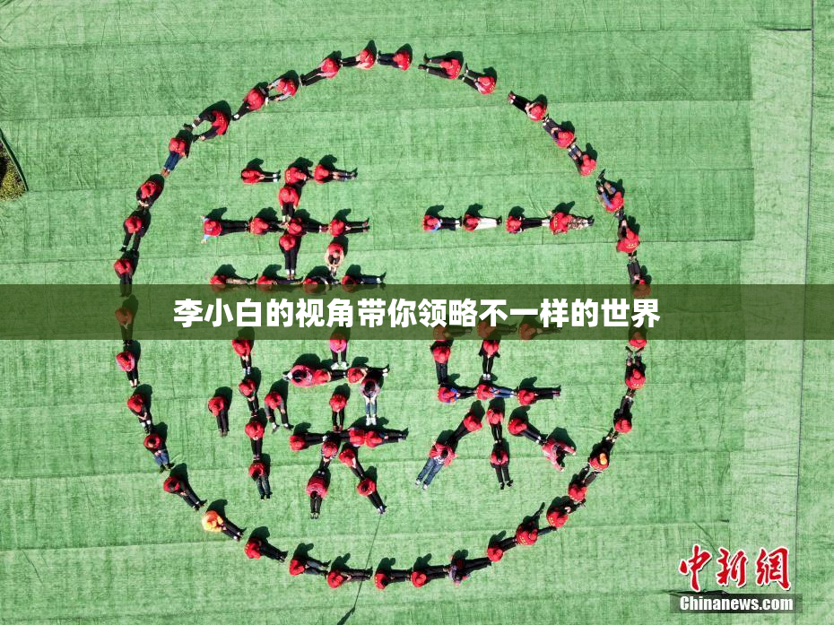 李小白的视角带你领略不一样的世界