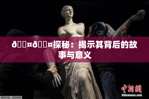 🐤🐤探秘：揭示其背后的故事与意义