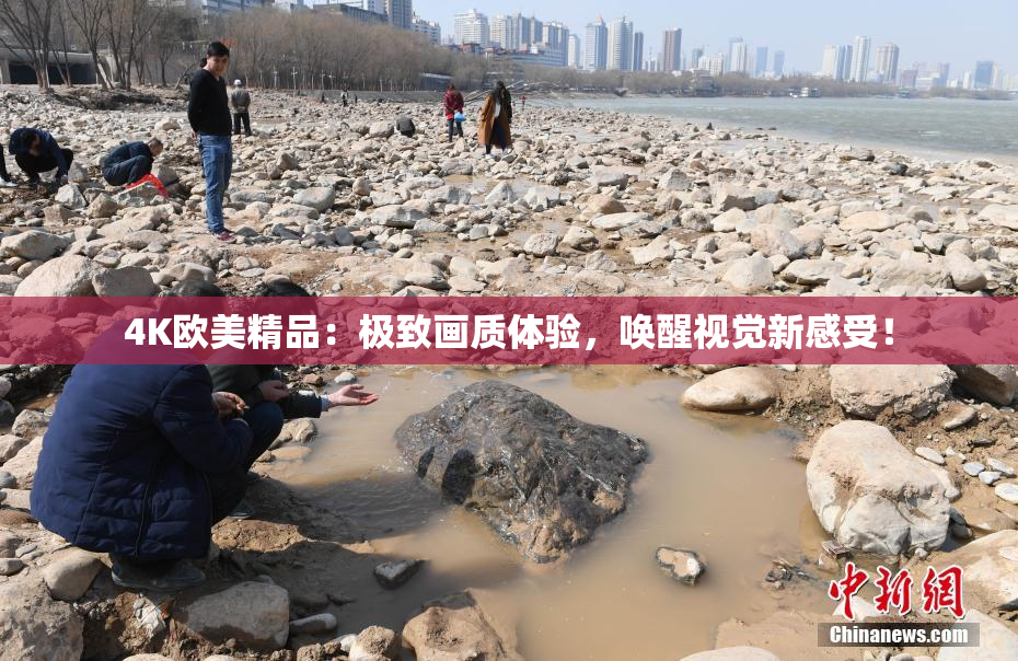 4K欧美精品：极致画质体验，唤醒视觉新感受！