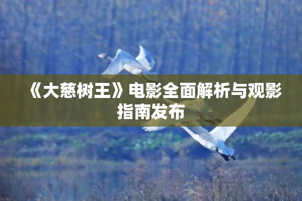 《大慈树王》电影全面解析与观影指南发布