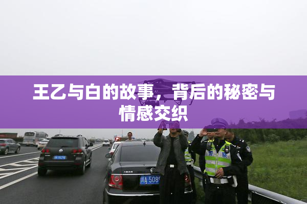 王乙与白的故事，背后的秘密与情感交织