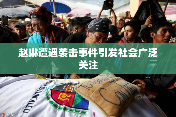 赵琳遭遇袭击事件引发社会广泛关注