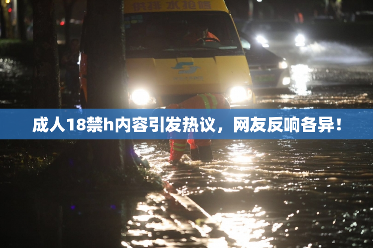 成人18禁h内容引发热议，网友反响各异！