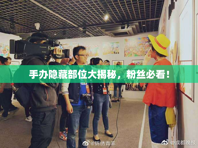 手办隐藏部位大揭秘，粉丝必看！