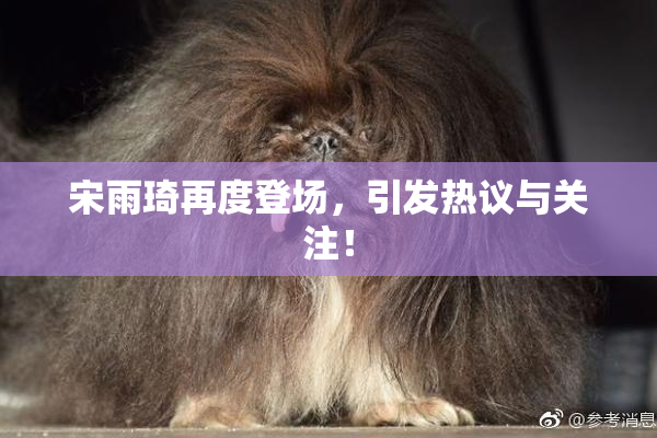 宋雨琦再度登场，引发热议与关注！