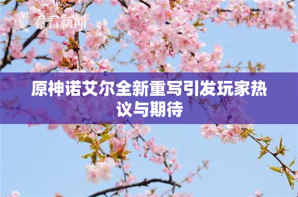 原神诺艾尔全新重写引发玩家热议与期待