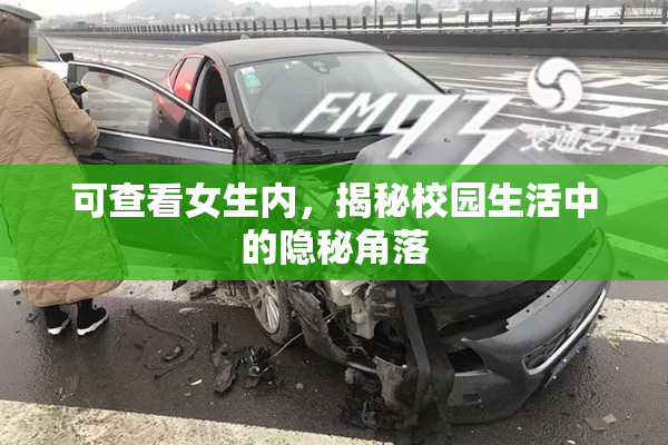 可查看女生内，揭秘校园生活中的隐秘角落