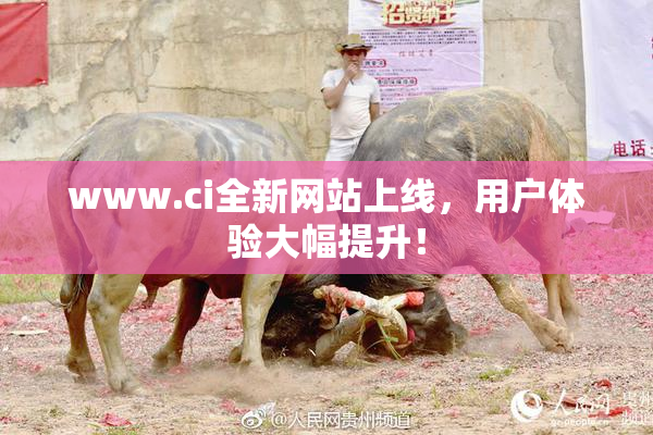 www.ci全新网站上线，用户体验大幅提升！