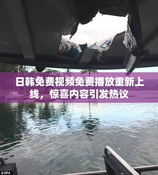 日韩免费视频免费播放重新上线，惊喜内容引发热议