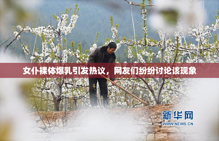 女仆裸体爆乳引发热议，网友们纷纷讨论该现象