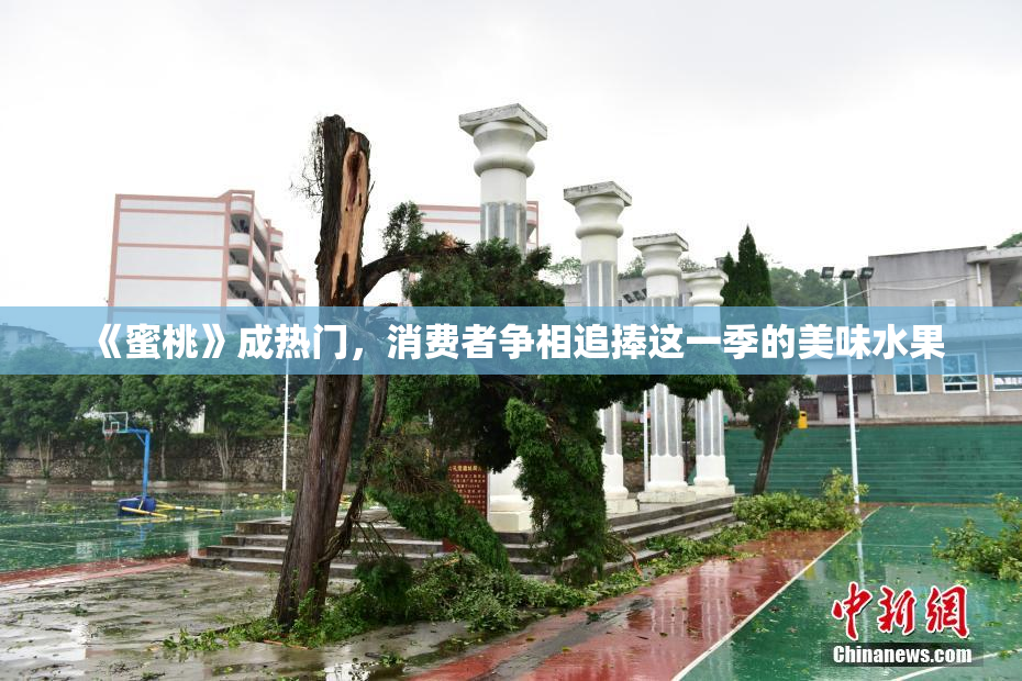 《蜜桃》成热门，消费者争相追捧这一季的美味水果
