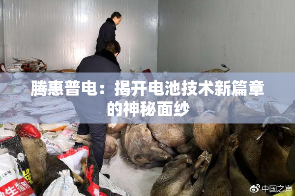 腾惠普电：揭开电池技术新篇章的神秘面纱