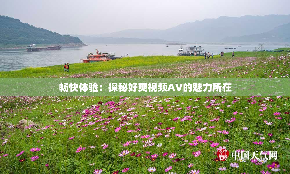 畅快体验：探秘好爽视频AV的魅力所在