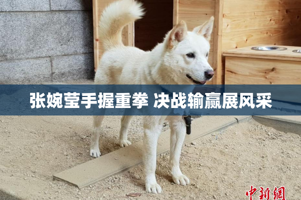 张婉莹手握重拳 决战输赢展风采