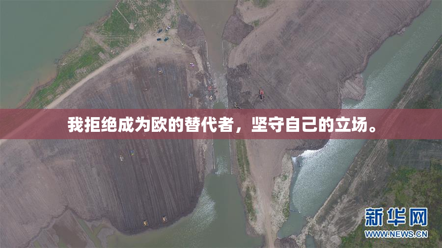 我拒绝成为欧的替代者，坚守自己的立场。
