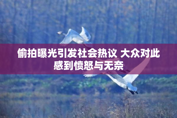 偷拍曝光引发社会热议 大众对此感到愤怒与无奈