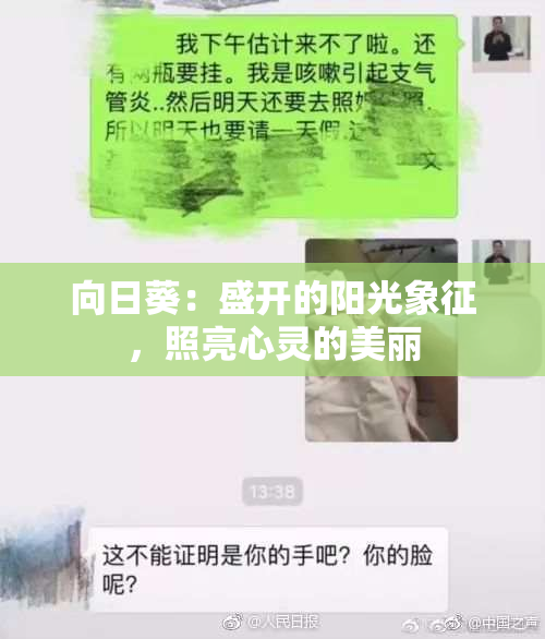 向日葵：盛开的阳光象征，照亮心灵的美丽