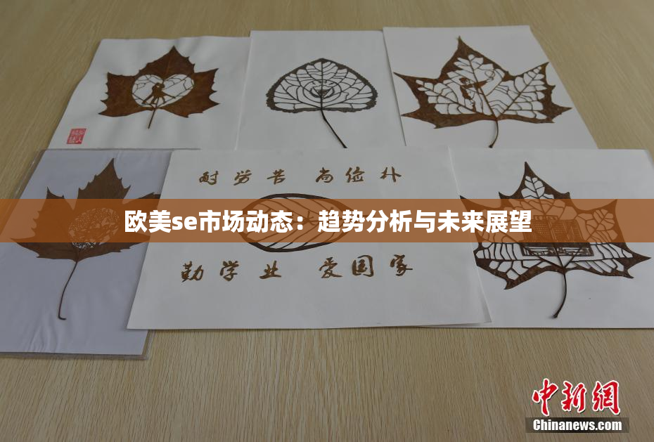 欧美se市场动态：趋势分析与未来展望