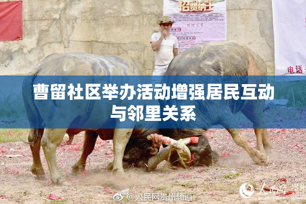 曹留社区举办活动增强居民互动与邻里关系