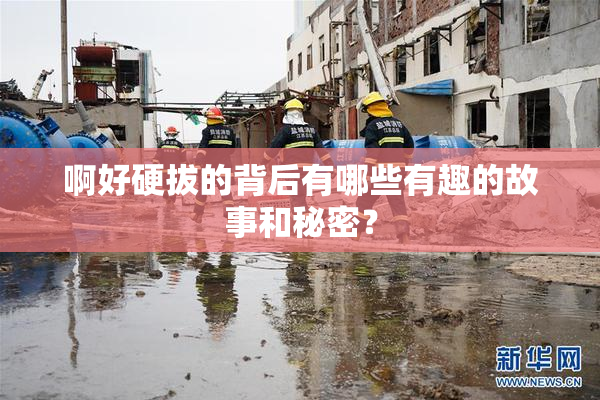 啊好硬拔的背后有哪些有趣的故事和秘密？