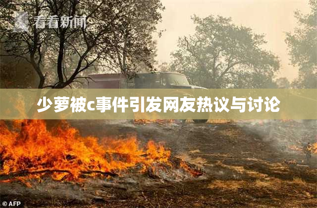 少萝被c事件引发网友热议与讨论