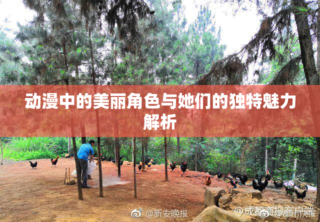 动漫中的美丽角色与她们的独特魅力解析