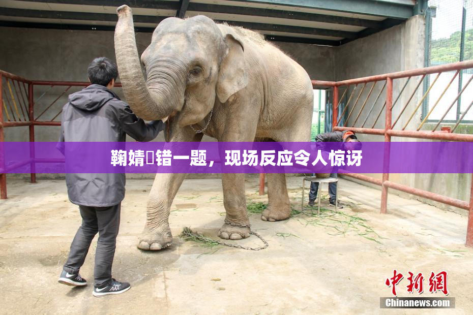 鞠婧祎错一题，现场反应令人惊讶