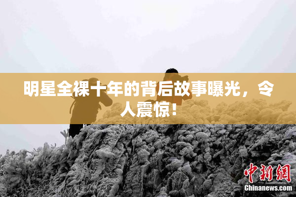 明星全裸十年的背后故事曝光，令人震惊！