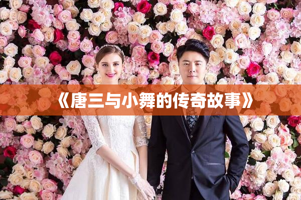 《唐三与小舞的传奇故事》